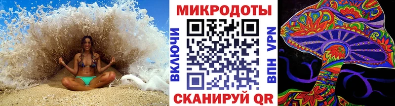 купить наркотики цена  Фролово  Псилоцибиновые грибы Cubensis 