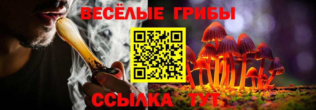 Галлюциногенные грибы Psilocybe  закладка  Фролово  Псилоцибиновые грибы ЛСД  Вход с VPN 