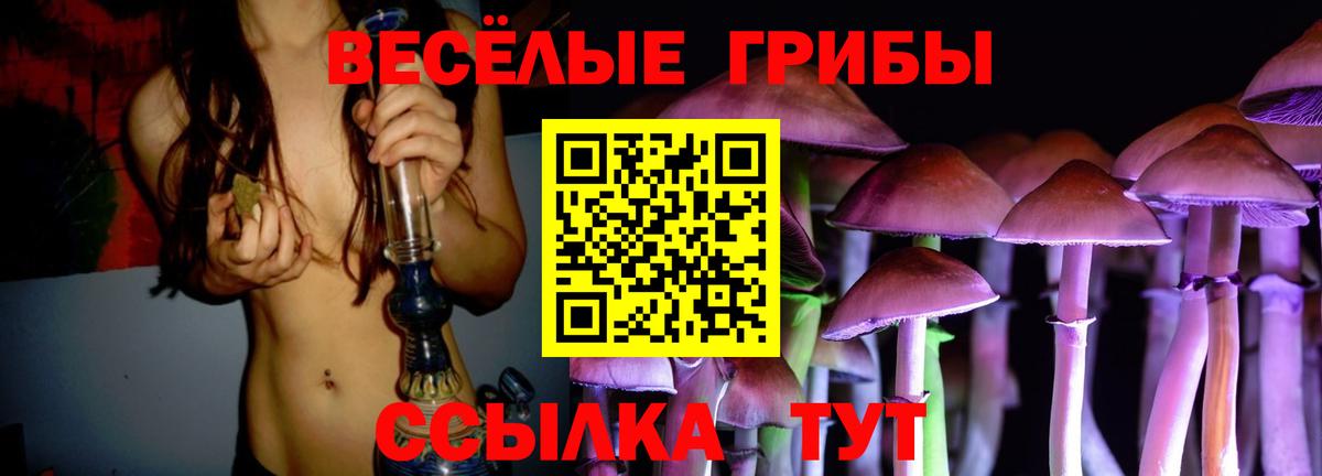 Галлюциногенные грибы Psilocybine cubensis Фролово